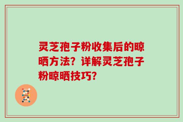 灵芝孢子粉收集后的晾晒方法？详解灵芝孢子粉晾晒技巧？
