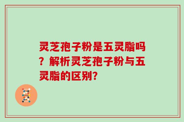 灵芝孢子粉是五灵脂吗？解析灵芝孢子粉与五灵脂的区别？