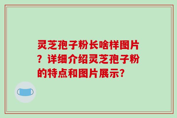 灵芝孢子粉长啥样图片？详细介绍灵芝孢子粉的特点和图片展示？
