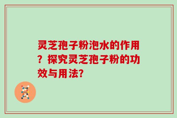 灵芝孢子粉泡水的作用？探究灵芝孢子粉的功效与用法？