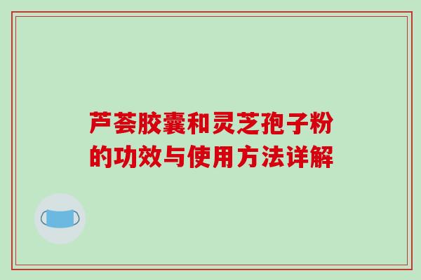芦荟胶囊和灵芝孢子粉的功效与使用方法详解
