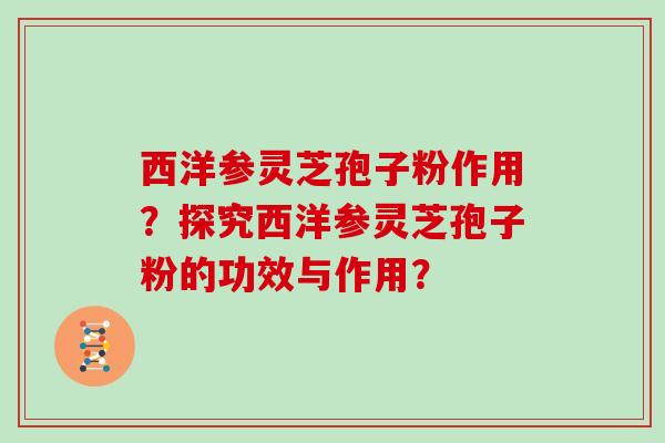 西洋参灵芝孢子粉作用？探究西洋参灵芝孢子粉的功效与作用？