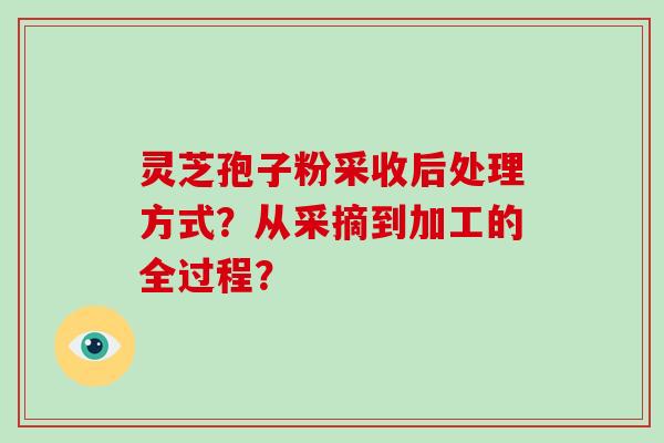 灵芝孢子粉采收后处理方式？从采摘到加工的全过程？
