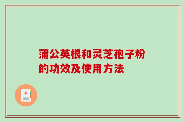 蒲公英根和灵芝孢子粉的功效及使用方法