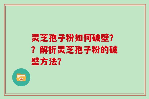 灵芝孢子粉如何破壁？？解析灵芝孢子粉的破壁方法？