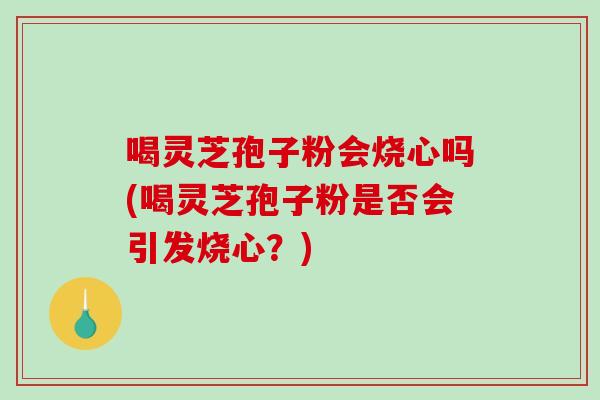 喝灵芝孢子粉会烧心吗(喝灵芝孢子粉是否会引发烧心？)