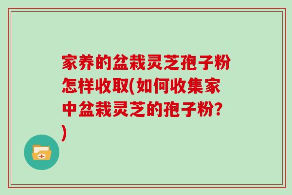 家养的盆栽灵芝孢子粉怎样收取(如何收集家中盆栽灵芝的孢子粉?) 家养的盆栽灵芝孢子粉怎样收取(如何收集家中盆栽灵芝的孢子粉?)