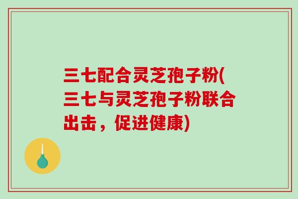三七配合灵芝孢子粉(三七与灵芝孢子粉联合出击,促进健康) 三七配合灵芝孢子粉(三七与灵芝孢子粉联合出击,促进健康)