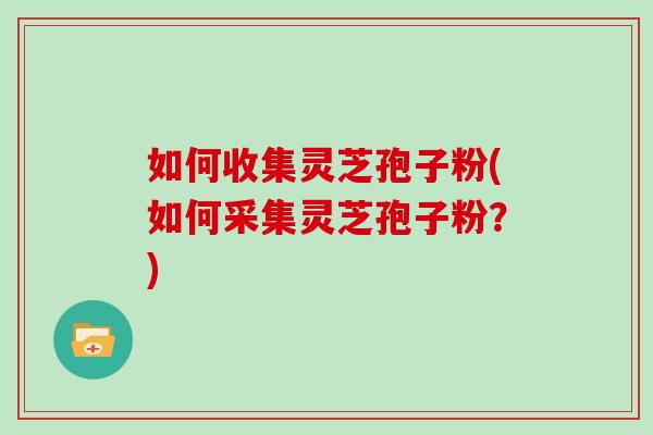 如何收集灵芝孢子粉(如何采集灵芝孢子粉？)