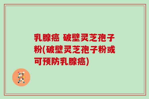 乳腺 破壁灵芝孢子粉(破壁灵芝孢子粉或可乳腺)