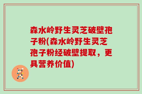 森水岭野生灵芝破壁孢子粉(森水岭野生灵芝孢子粉经破壁提取，更具营养价值)
