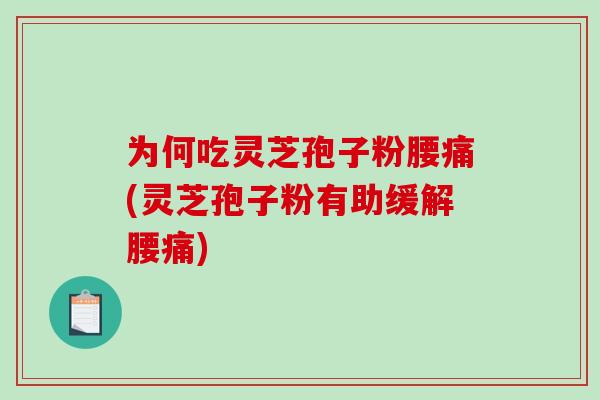 为何吃灵芝孢子粉腰痛(灵芝孢子粉有助缓解腰痛)