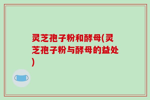 灵芝孢子粉和酵母(灵芝孢子粉与酵母的益处)