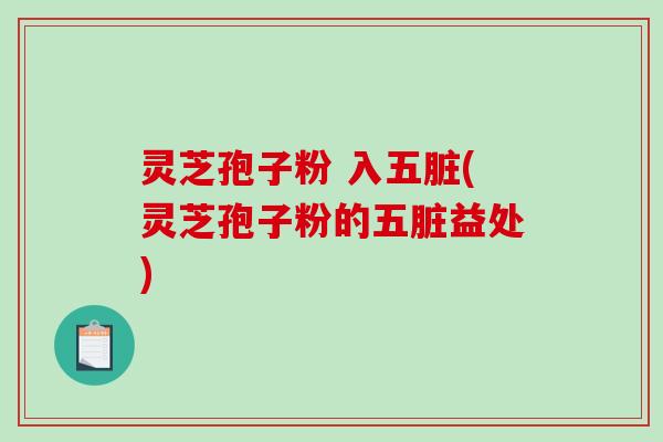 灵芝孢子粉 入五脏(灵芝孢子粉的五脏益处)