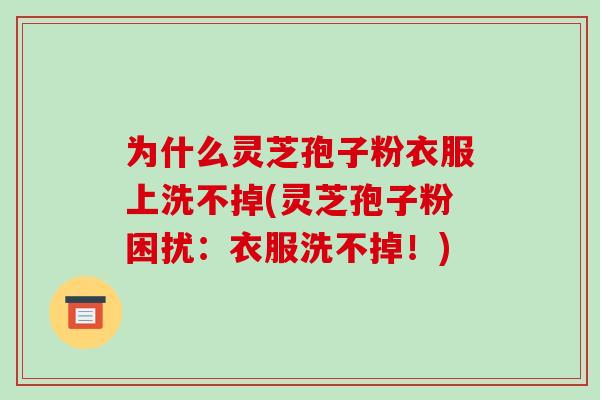 为什么灵芝孢子粉衣服上洗不掉(灵芝孢子粉困扰:衣服洗不掉!) 为什么灵芝孢子粉衣服上洗不掉(灵芝孢子粉困扰:衣服洗不掉!)