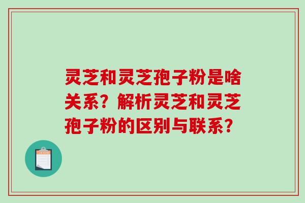 灵芝和灵芝孢子粉是啥关系？解析灵芝和灵芝孢子粉的区别与联系？
