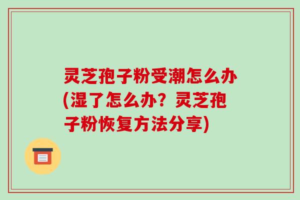 灵芝孢子粉受潮怎么办(湿了怎么办？灵芝孢子粉恢复方法分享)