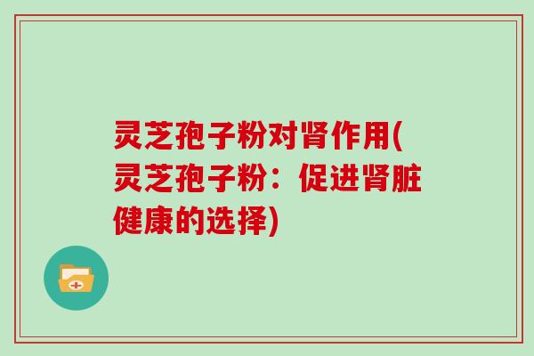 灵芝孢子粉对肾作用(灵芝孢子粉：促进肾脏健康的选择)