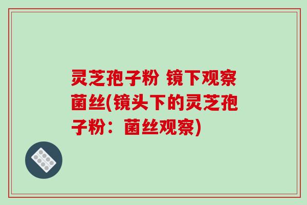 灵芝孢子粉 镜下观察菌丝(镜头下的灵芝孢子粉:菌丝观察) 灵芝孢子粉 镜下观察菌丝(镜头下的灵芝孢子粉:菌丝观察)