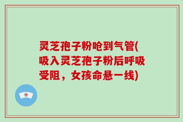 灵芝孢子粉呛到气管(吸入灵芝孢子粉后受阻,女孩命悬一线) 灵芝孢子粉呛到气管(吸入灵芝孢子粉后受阻,女孩命悬一线)