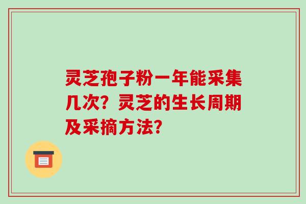 灵芝孢子粉一年能采集几次？灵芝的生长周期及采摘方法？