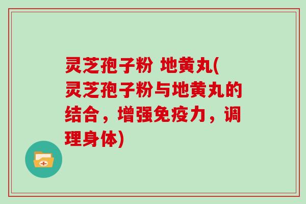 灵芝孢子粉 地黄丸(灵芝孢子粉与地黄丸的结合，增强免疫力，调理身体)