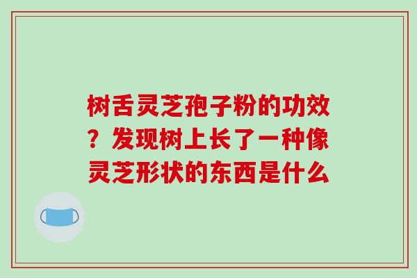 树舌灵芝孢子粉的功效？发现树上长了一种像灵芝形状的东西是什么