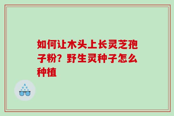 如何让木头上长灵芝孢子粉？野生灵种子怎么种植
