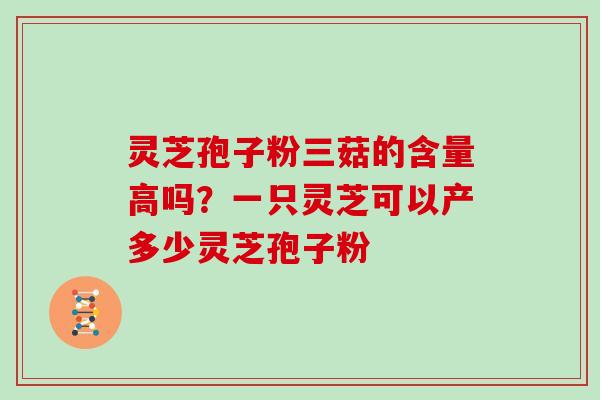 灵芝孢子粉三菇的含量高吗？一只灵芝可以产多少灵芝孢子粉