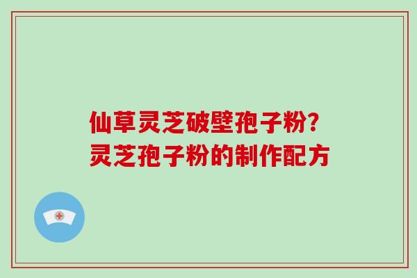 仙草灵芝破壁孢子粉？灵芝孢子粉的制作配方