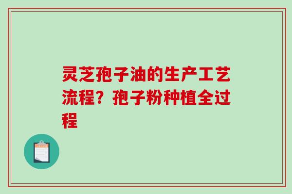 灵芝孢子油的生产工艺流程？孢子粉种植全过程