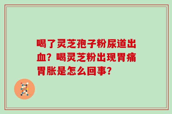喝了灵芝孢子粉尿道出血？喝灵芝粉出现胃痛胃胀是怎么回事？