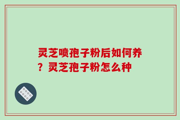 灵芝喷孢子粉后如何养？灵芝孢子粉怎么种