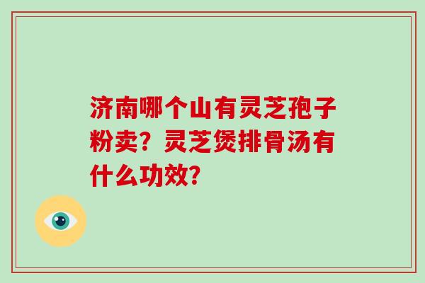济南哪个山有灵芝孢子粉卖？灵芝煲排骨汤有什么功效？