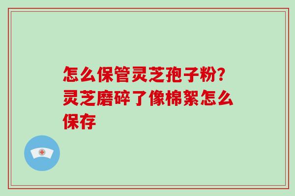 怎么保管灵芝孢子粉？灵芝磨碎了像棉絮怎么保存