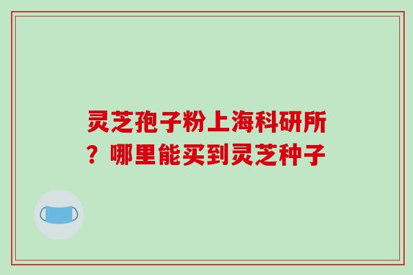 灵芝孢子粉上海科研所？哪里能买到灵芝种子