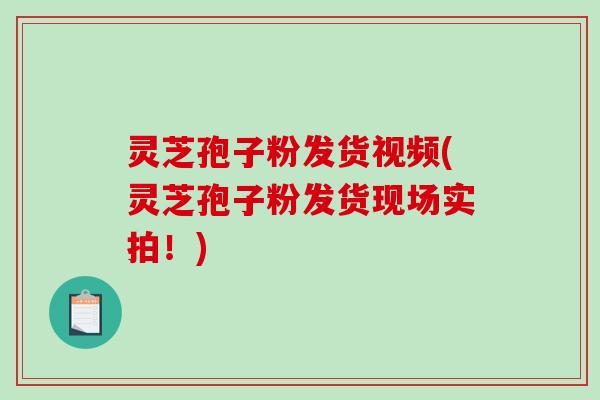 灵芝孢子粉发货视频(灵芝孢子粉发货现场实拍！)