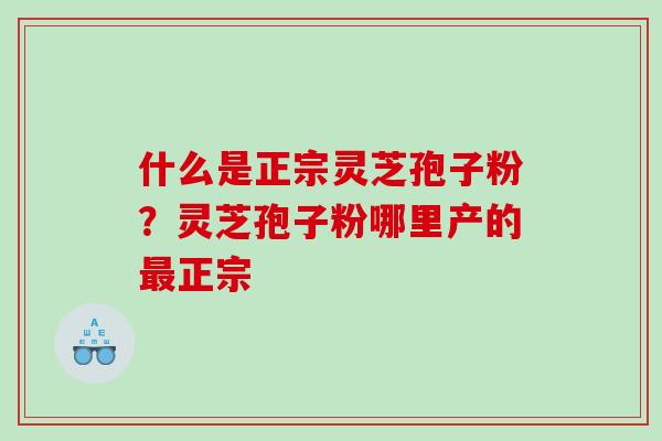 什么是正宗灵芝孢子粉？灵芝孢子粉哪里产的最正宗