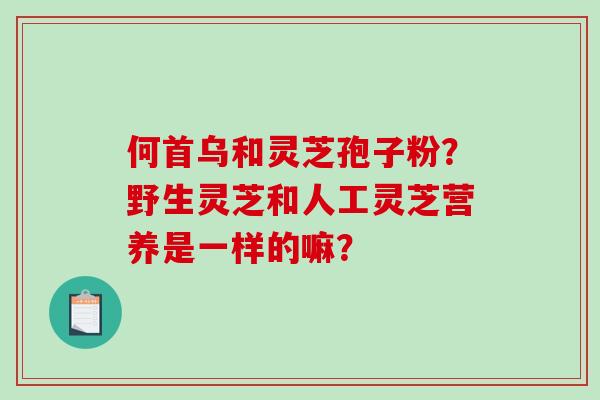何首乌和灵芝孢子粉？野生灵芝和人工灵芝营养是一样的嘛？