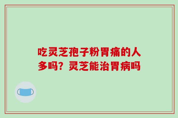 吃灵芝孢子粉胃痛的人多吗？灵芝能胃吗