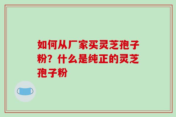 如何从厂家买灵芝孢子粉？什么是纯正的灵芝孢子粉