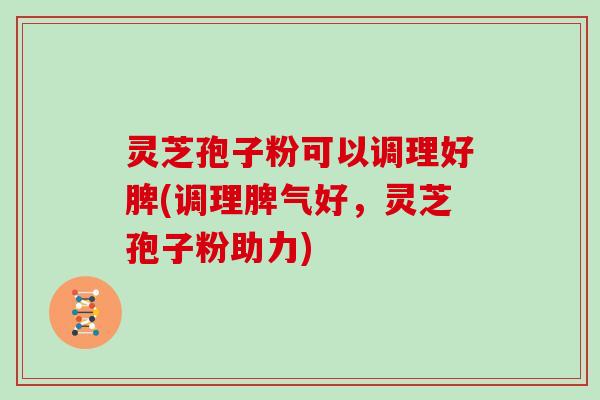 灵芝孢子粉可以调理好脾(调理脾气好，灵芝孢子粉助力)