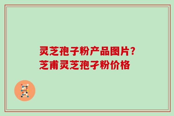 灵芝孢子粉产品图片？芝甫灵芝孢孑粉价格