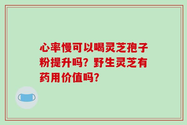 心率慢可以喝灵芝孢子粉提升吗？野生灵芝有药用价值吗？