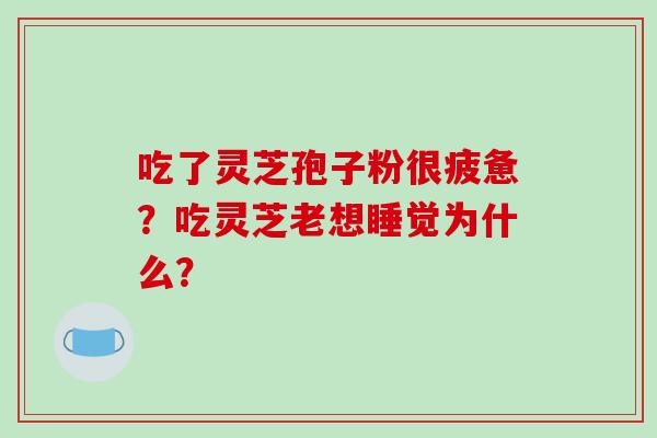 吃了灵芝孢子粉很疲惫？吃灵芝老想睡觉为什么？