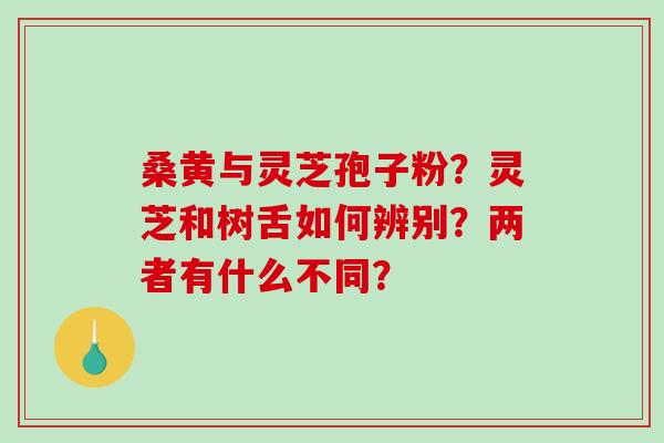 桑黄与灵芝孢子粉？灵芝和树舌如何辨别？两者有什么不同？