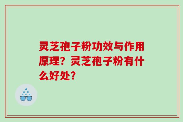 灵芝孢子粉功效与作用原理？灵芝孢子粉有什么好处？