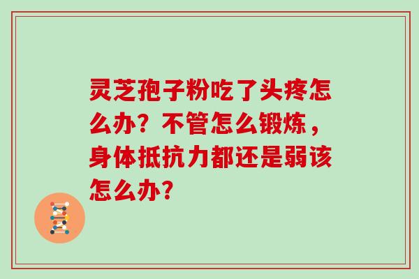 灵芝孢子粉吃了头疼怎么办？不管怎么锻炼，身体抵抗力都还是弱该怎么办？