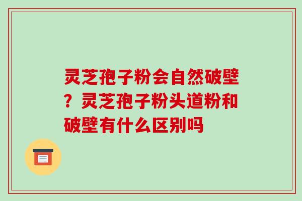 灵芝孢子粉会自然破壁？灵芝孢子粉头道粉和破壁有什么区别吗