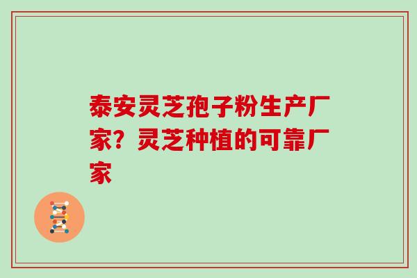 泰安灵芝孢子粉生产厂家？灵芝种植的可靠厂家